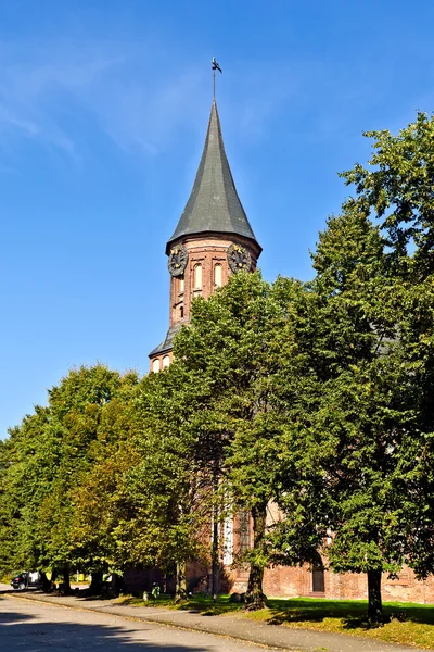 Koenigsberg Cathedral - Gothic temple of the 14th century. The symbol of Kaliningrad (until 1946 Konigsberg), Russia — Stock Photo, Image