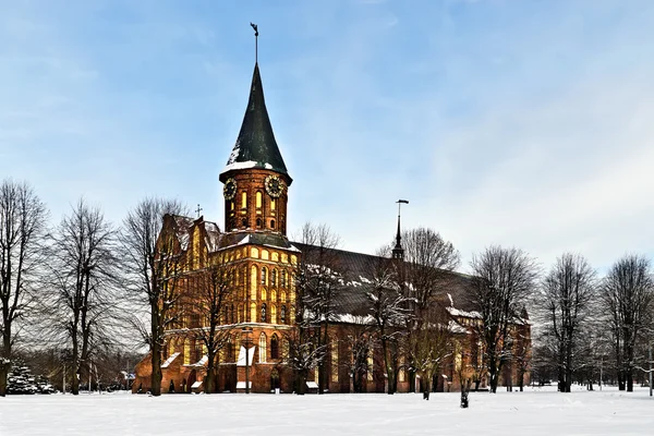 Catedral de Koenigsberg Templo gótico del siglo XIV. El símbolo de Kaliningrado (hasta 1946 Konigsberg), Rusia —  Fotos de Stock