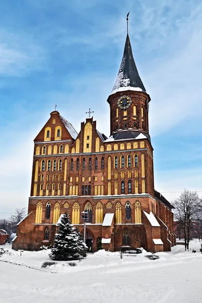 Koenigsberg Cathedral - Gothic temple of the 14th century. The symbol of Kaliningrad (until 1946 Konigsberg), Russia — Stock Photo, Image