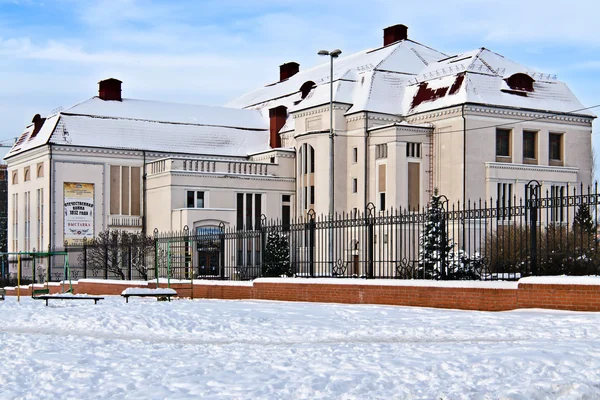 พิพิธภัณฑ์ศิลปะประวัติศาสตร์ Kaliningrad, รัสเซีย — ภาพถ่ายสต็อก