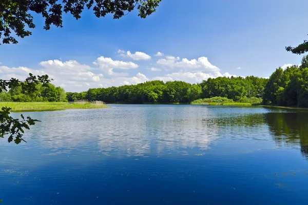 Hermoso lago azul en el bosque —  Fotos de Stock