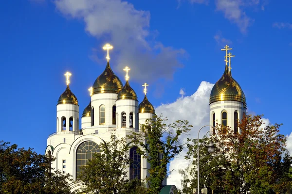 Gloed gouden kruisen. Kathedraal van Christus de Verlosser, kaliningrad, Rusland — Stockfoto