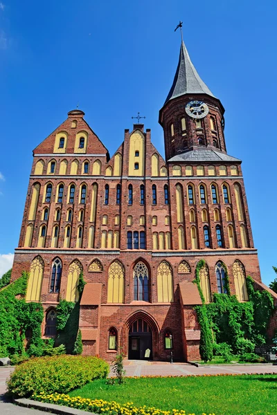 Koenigsberg の大聖堂。14 世紀ゴシック様式 — ストック写真
