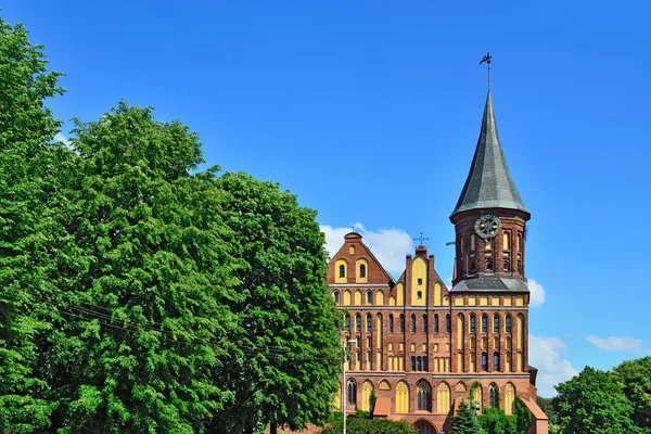 Königsberg cathedral - gotiska templet från 1300-talet. Kaliningrad (fram till 1946 Königsberg) i Ryssland — Stockfoto