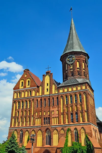 Koenigsberg katedrála. Kaliningrad (do 1946 koenigsberg), Rusko — Stock fotografie