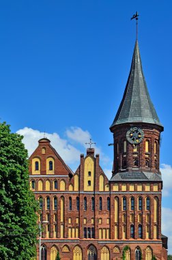 Koenigsberg Katedrali - yüzyıl Gotik Tapınağı. Kaliningrad, Rusya Federasyonu