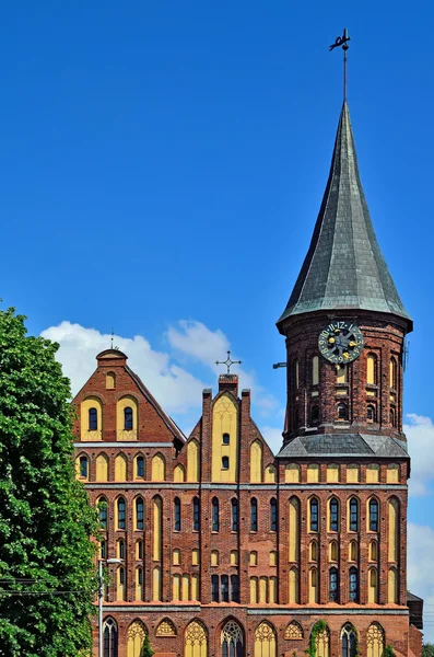 Koenigsberg Katedrali - yüzyıl Gotik Tapınağı. Kaliningrad, Rusya Federasyonu — Stok fotoğraf