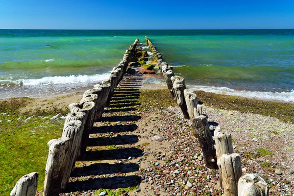 Plaj, deniz, dalgakıran... — Stok fotoğraf