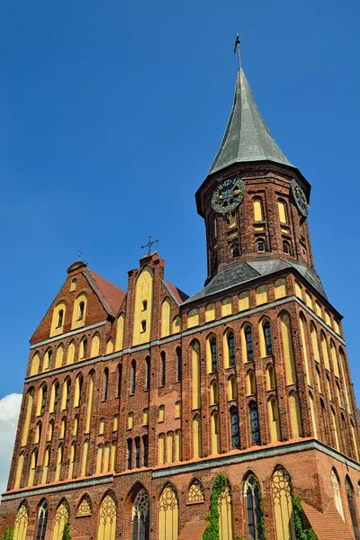 Catedral de Koenigsberg Templo gótico del siglo XIV. Kaliningrado (hasta 1946 Koenigsberg), Rusia — Foto de Stock