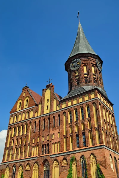 Koenigsberg 大聖堂 - 14 世紀のゴシック様式の寺院。(まで 1946 koenigsberg) カリーニング ラード、ロシア — ストック写真