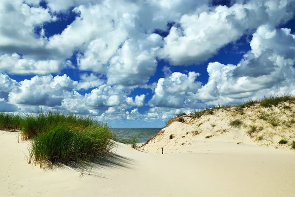 Beautiful Baltic dunes and dramatic Cumulus clouds — Stock Photo, Image