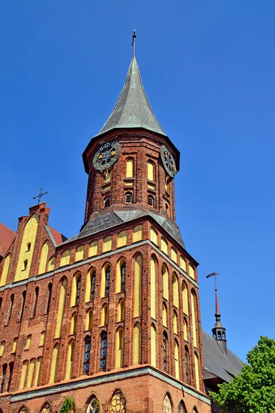 Koenigsberg katedrála - gotický chrám 14 století. Kaliningrad (do 1946 koenigsberg), Rusko — Stock fotografie