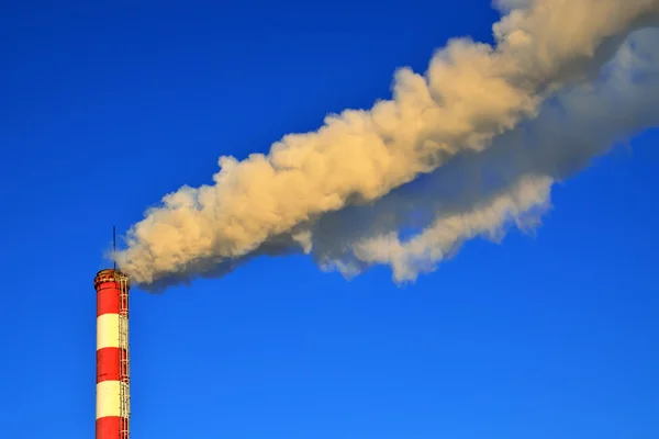 Beautifully fuming pipe — Stock Photo, Image