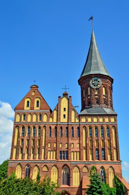 Katedral koenigsberg - gothic 14 century.kaliningrad (kadar 1946 koenigsberg), Rusya Federasyonu