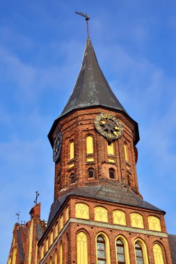 Kule koenigsberg Katedrali. Kaliningrad (formerly koenigsberg), Rusya Federasyonu