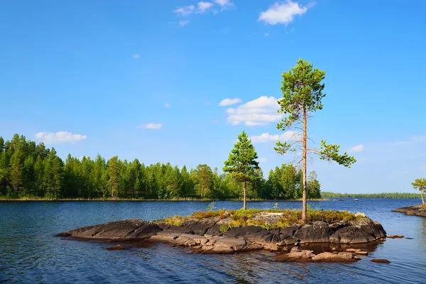 Lake engozero. Kuzey Karelya, Rusya Federasyonu