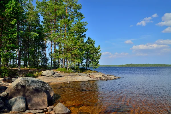 Lac Engozero. Carélie du Nord, Russie — Photo