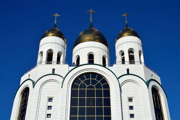 Kathedraal van Christus de Verlosser. Kaliningrad (tot 1946 koenigsb — Stockfoto