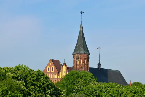 Koenigsberg katedrála na kneiphof island. Kaliningrad, Rusko — Stock fotografie