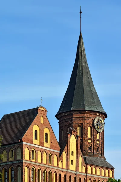 Torre Koenigsberg Catedral — Foto de Stock