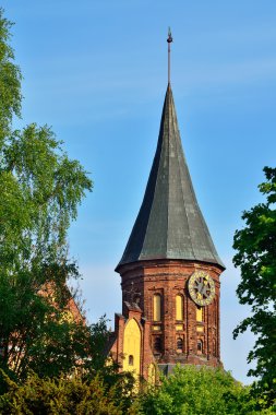 Kule koenigsberg Katedrali. sembol Kaliningrad, Rusya Federasyonu