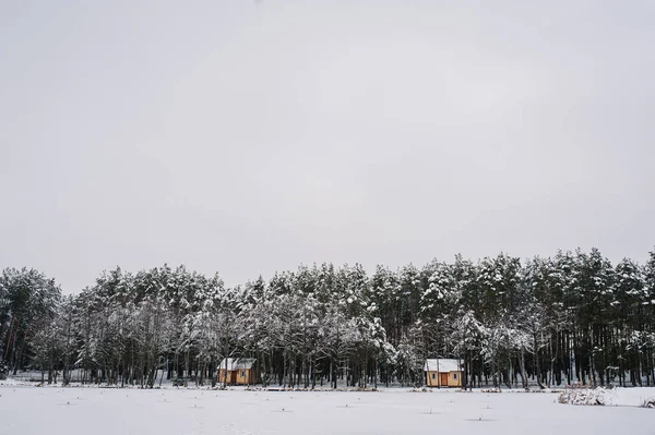 Winterangeln Auf Hechte Auf Dem Zugefrorenen See Viele Kleine Angelgeräte — Stockfoto