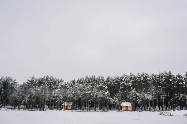 Pesca Invierno Para Lucio Pez Imitación Lago Congelado Muchos Pequeños — Foto de Stock