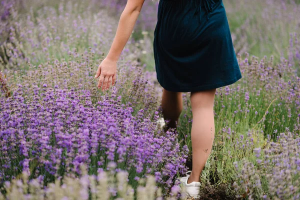 Όμορφο Κορίτσι Φόρεμα Μωβ Τομέα Λεβάντα Όμορφη Γυναίκα Περπατάει Στο — Φωτογραφία Αρχείου