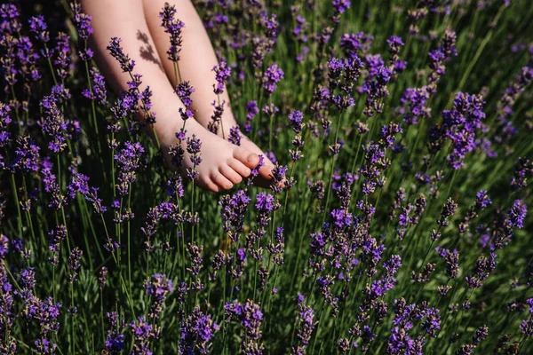 Cute Baby Feet Lavender Purple Lavender Blossom Kid Legs Touching — Stock Photo, Image