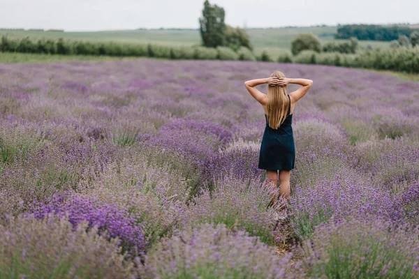 穿着衣服的漂亮姑娘站在紫色的薰衣草地里 在法国 美丽的女人在日落时散步 看着薰衣草地 集中精神在花坛上尽情享受夏天的自然背景色 — 图库照片