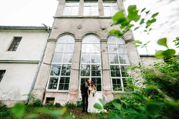 Gelin ve damat eski mimarinin yanındaki botanik bahçesinde durup öpüşürler. Parkta düğün töreni..
