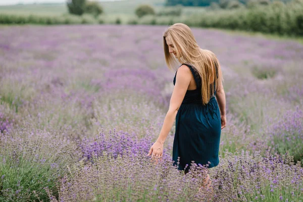 穿着紫色薰衣草田衣服的漂亮姑娘 美丽的女人走在薰衣草地里 女孩收集薰衣草 尽情欣赏花香 享受夏日的自然 背景色 — 图库照片