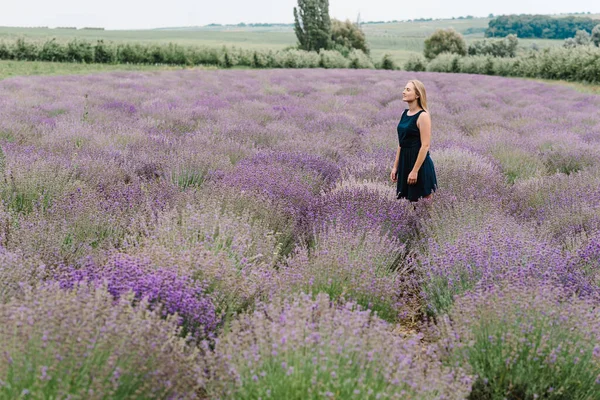 美丽的女孩在紫色薰衣草场 美丽的女人走在薰衣草地里 尽情欣赏花香 享受夏日的自然 天然化妆品和生态化妆概念 — 图库照片