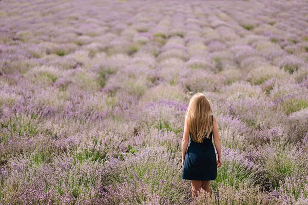 Beautiful Girl Dress Stand Purple Lavender Field Beautiful Woman Walk — Stock Photo, Image