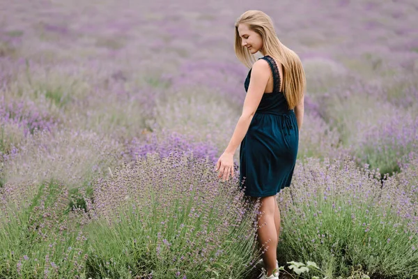 Beautiful Girl Dress Purple Lavender Field Beautiful Woman Walk Lavender — Stock Photo, Image