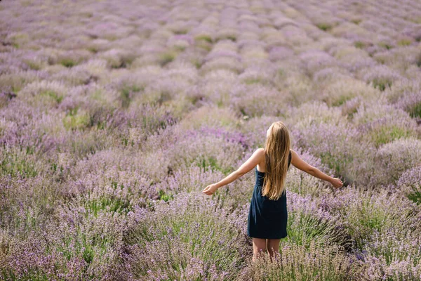 穿着衣服的漂亮姑娘站在紫色的薰衣草地里 在法国 美丽的女人在日落时散步 看着薰衣草地 集中精神在花坛上尽情享受夏天的自然背景色 — 图库照片