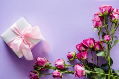Hediye kutusu ve mor arka planda pembe güller. Kartpostal Mesaj için boşluk. Çiçek konsepti. Sevgililer Günü, Kadınlar, Anneler Günü, Paskalya için bayram tebrik kartı. Doğum günün kutlu olsun. Düğün davetiyesi