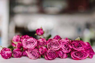 Bulanık ışıklı arka planda pembe küçük güllerin kompozisyonu. Doğum günün kutlu olsun. Sevgililer Günü, Kadınlar, Anneler Günü, Paskalya için bayram tebrik kartı. Düğün davetiyesi. Metin mesajı için boşluk.