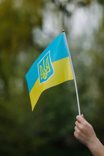 Украинский Желтый Синий Флаг Развевается Ветру Женщина Держит Флаг Ралли — стоковое фото