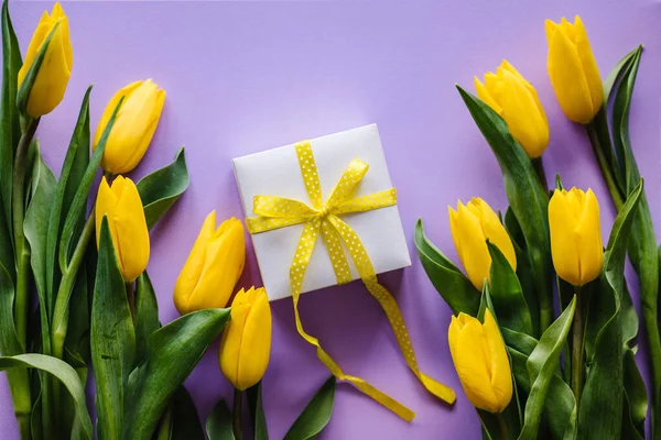 Pudełko Tulipanami Fioletowym Pastelu Fioletowym Tle Miejsce Wiadomość Koncepcja Kwiatów — Zdjęcie stockowe