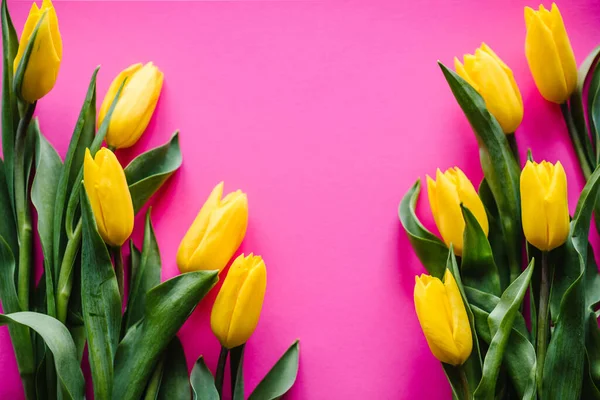 Tulipanes Amarillos Sobre Fondo Pastel Rosa Espacio Para Mensaje Flores — Foto de Stock