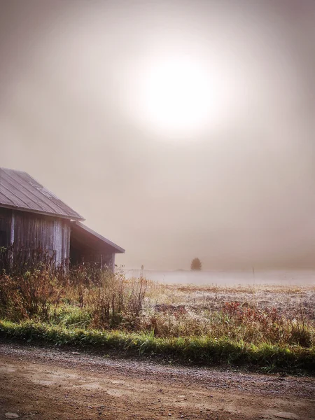 田舎で霧のかかった朝 — ストック写真