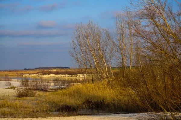 Arbres Libres Pêcheur — Photo