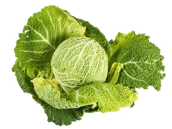 Cabbage Stock Image