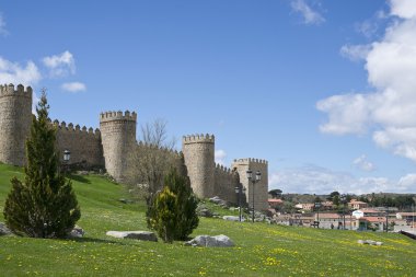 Kuzey Tuval duvar avila.