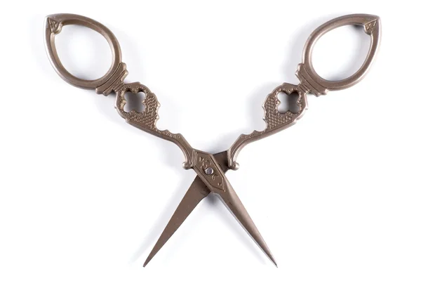 Scissors Isolated on Withe — Stock Photo, Image