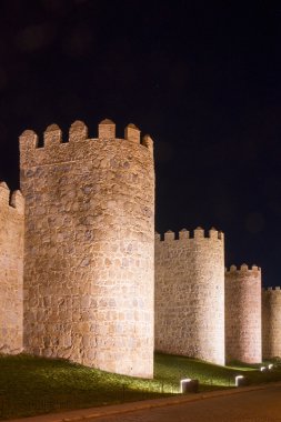 Avila (İspanya şehir surları)
