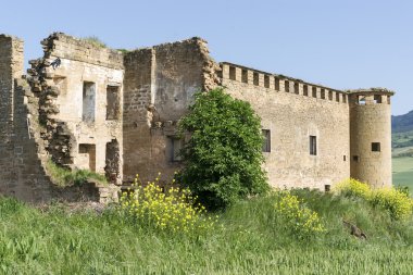 gendulain mahveder. St. james yolu. Navarre, İspanya.