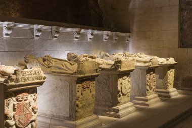Pantheon navarre kralları. santa maria la re Manastırı