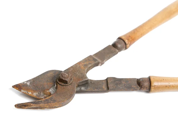 Old Gardening Tool — Stock Photo, Image